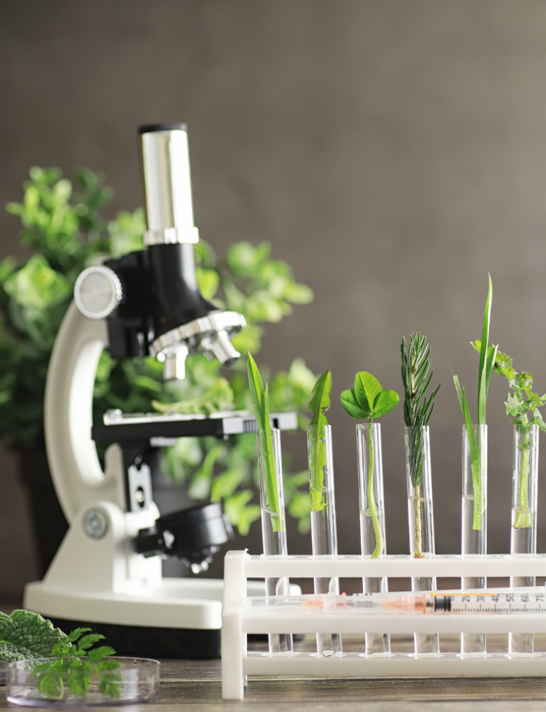 Life & Health Sciences